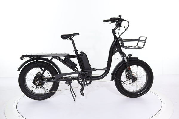 B2eBike City Cargo