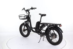B2eBike City Cargo